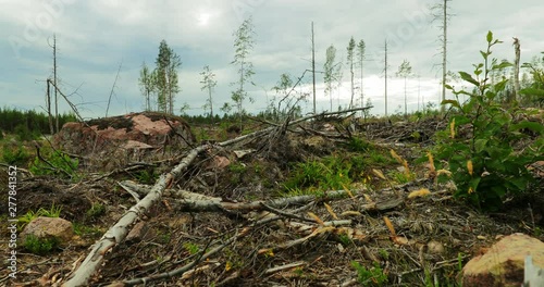Gliding shot of logged forest on a cloudy day.