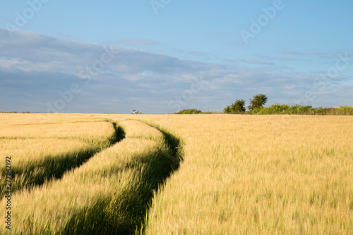 Beautiful Summer landscape of agricultural fields in English countryside during soft pastel sunset