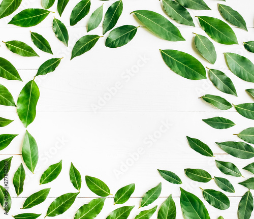 Green leaves on white background. Healthy lifestyle photo. Beautiful wallpaper. Nature concept. Art ideas.
