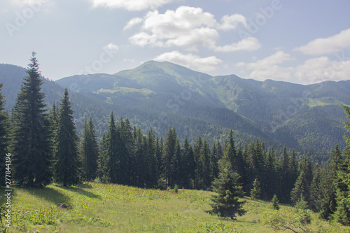 Trekking in the Carpathians, Hike to the border between Ukraine and Romania from Pop Ivan Marmarassky to Pop Ivan Chernogorsky.