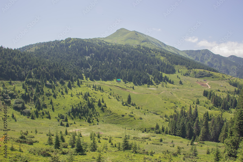 Trekking in the Carpathians, Hike to the border between Ukraine and Romania from Pop Ivan Marmarassky to Pop Ivan Chernogorsky. Trekking in the Carpathians, Hike to the border between Ukraine and Romania from Pop Ivan Marmarassky to Pop Ivan Chernogorsky.