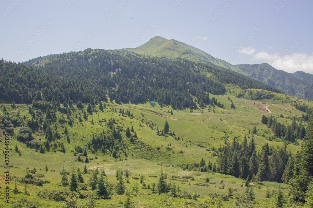 Trekking in the Carpathians, Hike to the border between Ukraine and Romania from Pop Ivan Marmarassky to Pop Ivan Chernogorsky.