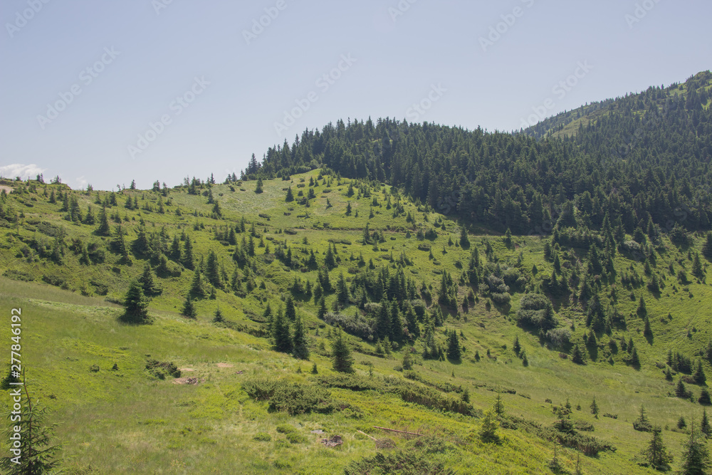 Trekking in the Carpathians, Hike to the border between Ukraine and Romania from Pop Ivan Marmarassky to Pop Ivan Chernogorsky. Trekking in the Carpathians, Hike to the border between Ukraine and Romania from Pop Ivan Marmarassky to Pop Ivan Chernogorsky.