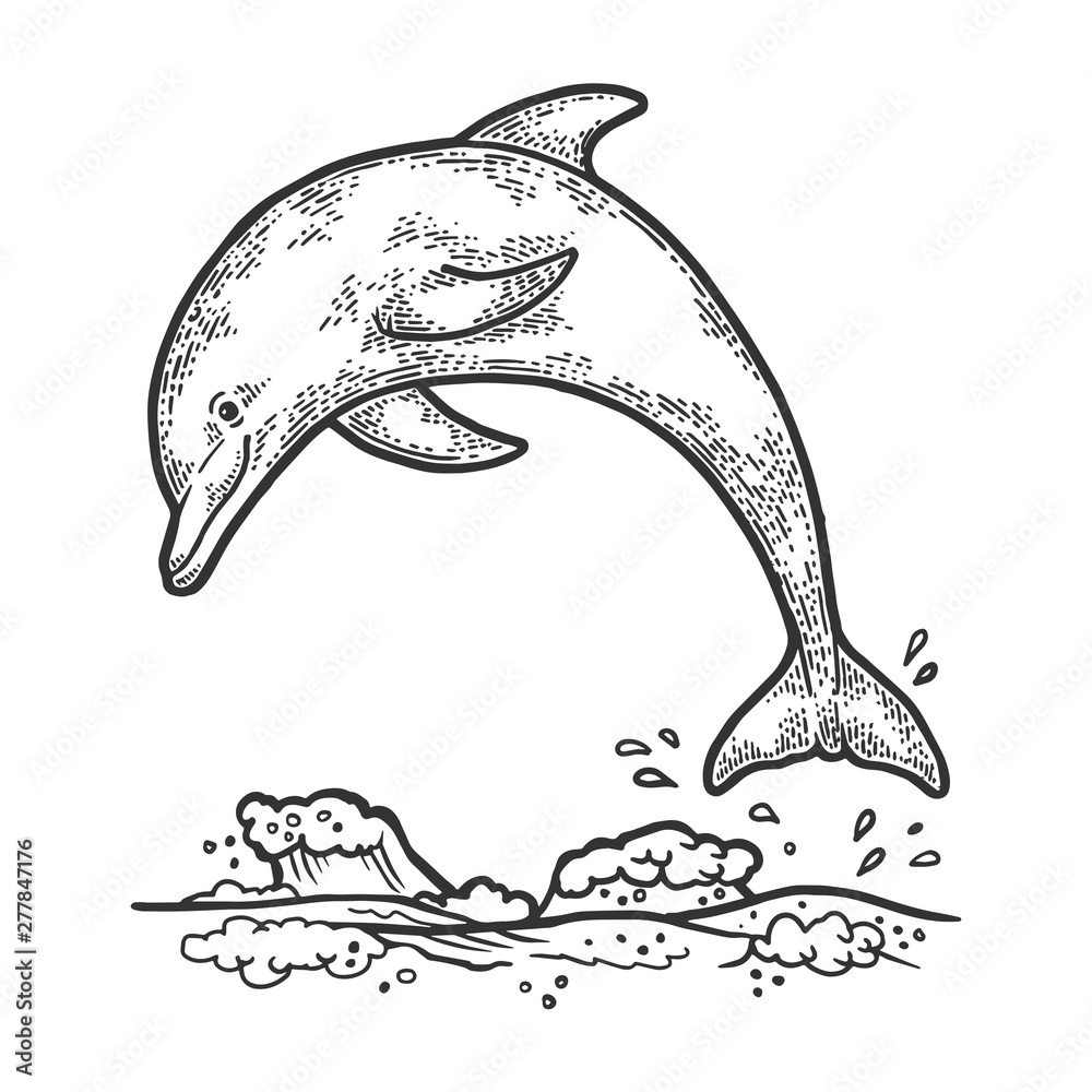 How To Draw A Dolphin Jumping Out Of The Water