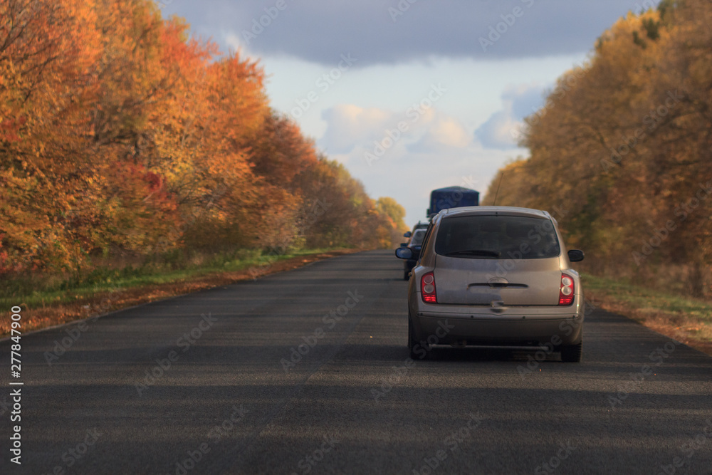 road in autumnal landscape