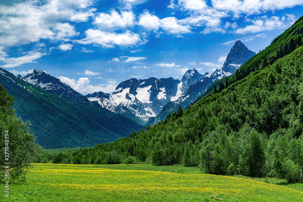 View of alpine valley with lots of vegetation on sunny day with snowy mountains and flowers in the meadow View of alpine valley with lots of vegetation on sunny day with snowy mountains and flowers in the meadow