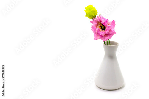 pink eustoma, lisianthus in a white vase on a white background free space for text