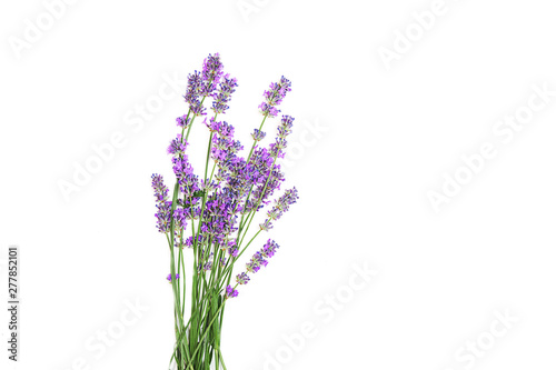 Lavender flowers isolated on white background. Flat lay, top view, copy space. Selective focus.