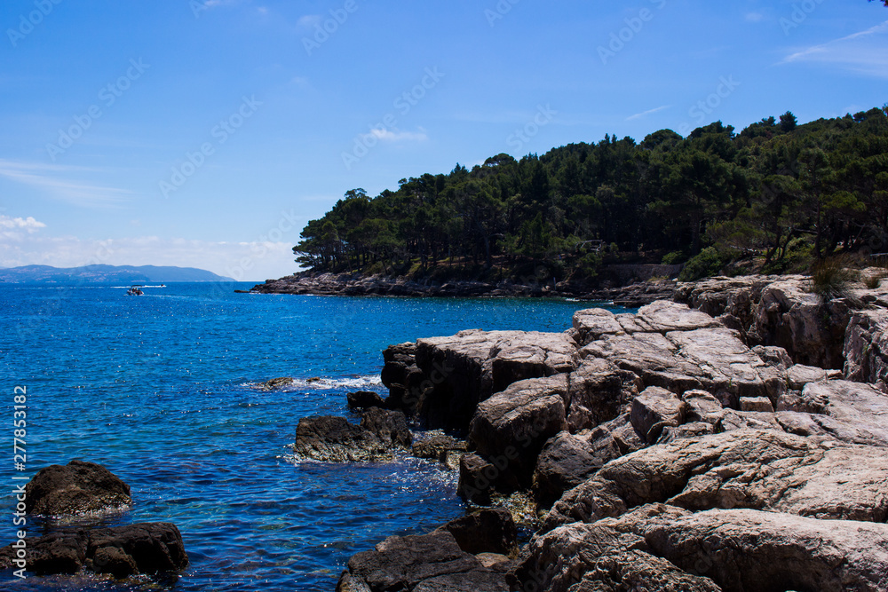landscape at the island of lokrum dubrovnik landscape at the island of lokrum dubrovnik