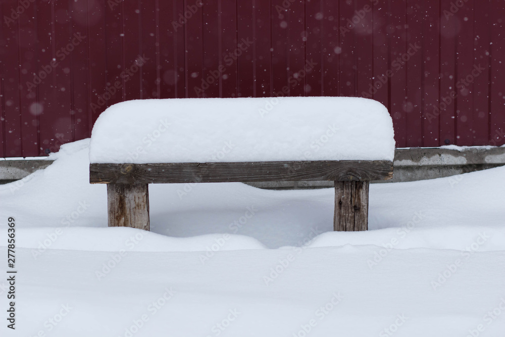 bench in winter park