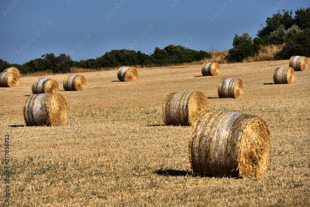 Straw bales on farmland with blue sky