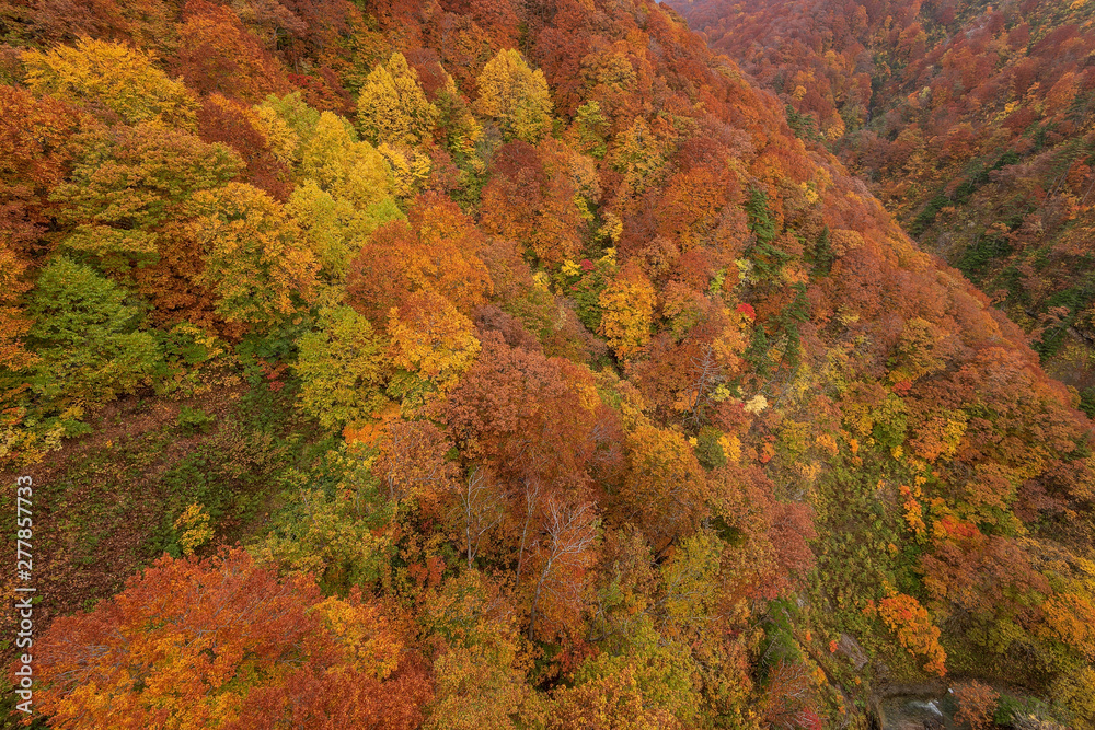 Jogakura valley in beautiful autumn season, Hakkoda, Japan. Jogakura valley in beautiful autumn season, Hakkoda, Japan.