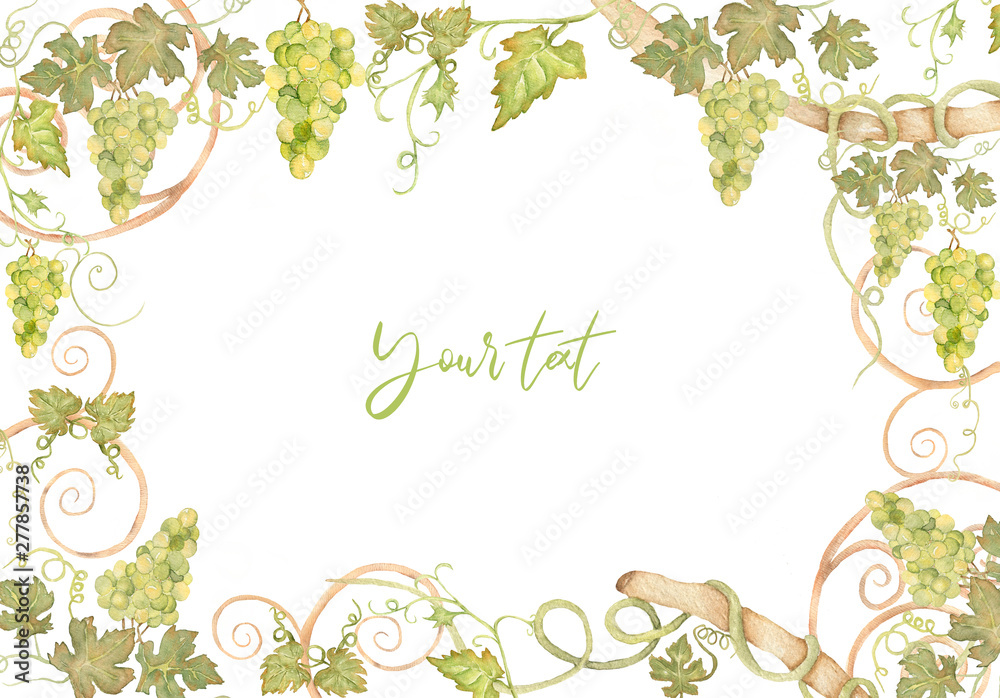 Beautiful Watercolor Hand drawn grapes frame in green and yellow colors.