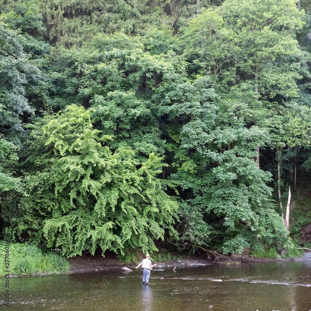 man fly fishing in river ourthe near la roche en ardennes in french speaking part of belgium