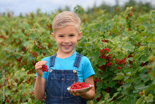 Smiling boy with red currants and juice