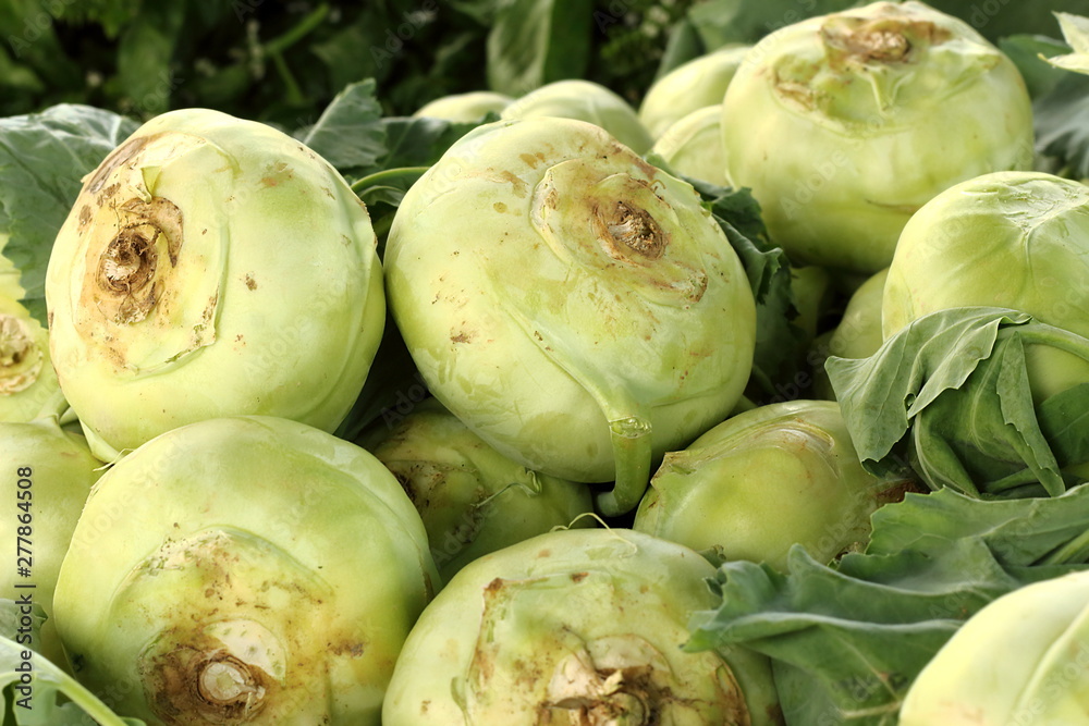 Naklejka premium Heap of fresh kohlrabi cabbage close-up.