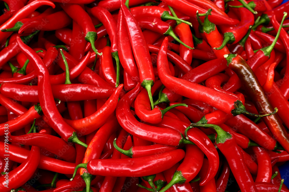 Heap of red chili peppers.