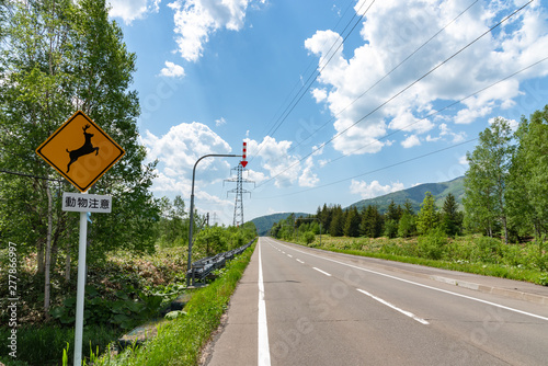 Animal warning sign in Hokkaido. Electricity transmission tower on green nature endless rural asphalt road. blue sky and white clouds background in summer sunny day. Translation "beware of animals"