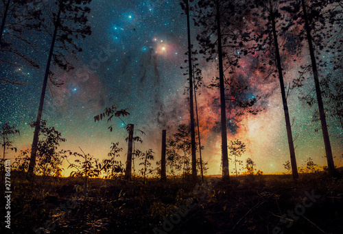 Milkyway shot in the forest