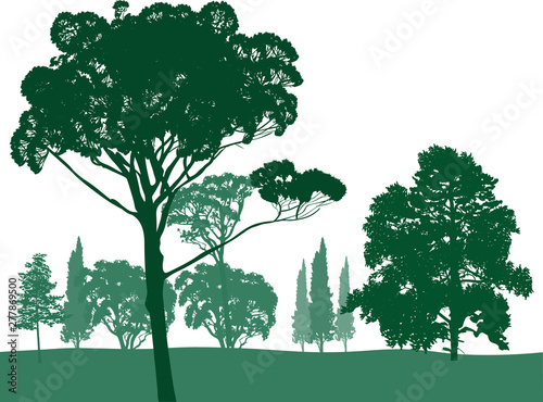 Fototapeta Naklejka Na Ścianę i Meble -  ten green trees on white illustration