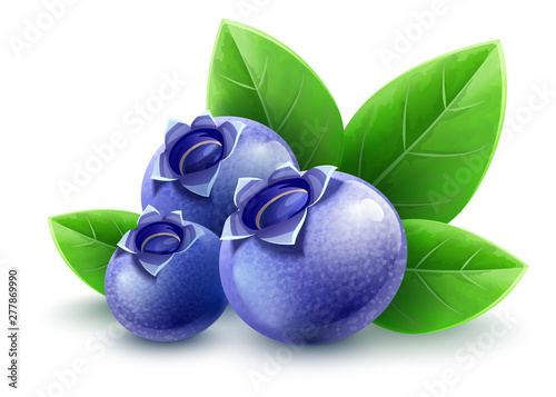 Wild blueberry berries with green leaves. Ripe fruits ingredient for healthy eating. Isolated on white background. Eps10 vector illustration.