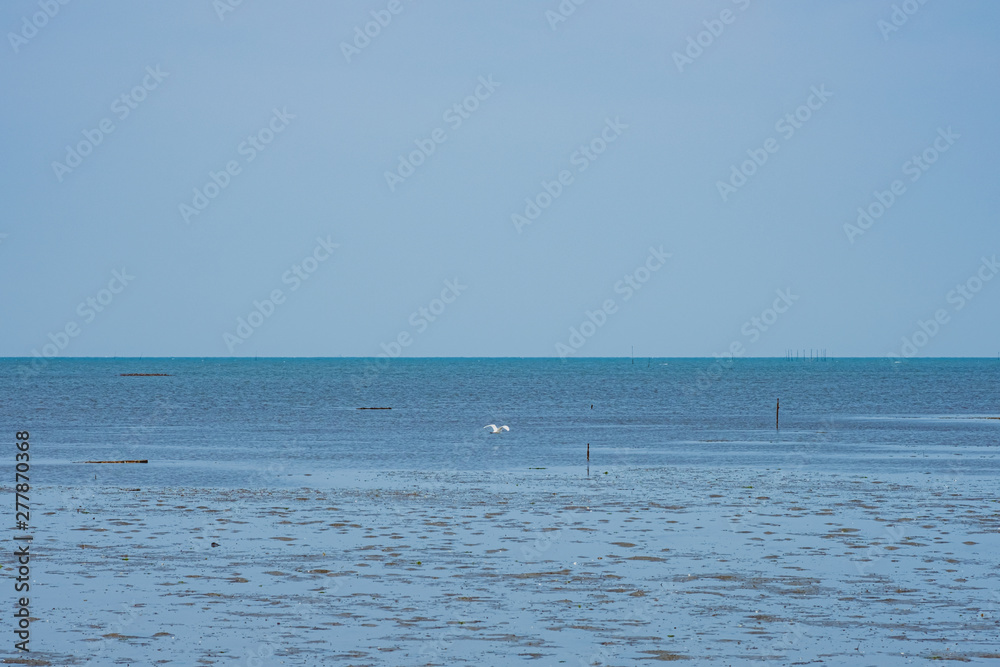  Blue sky, big sea and one gull