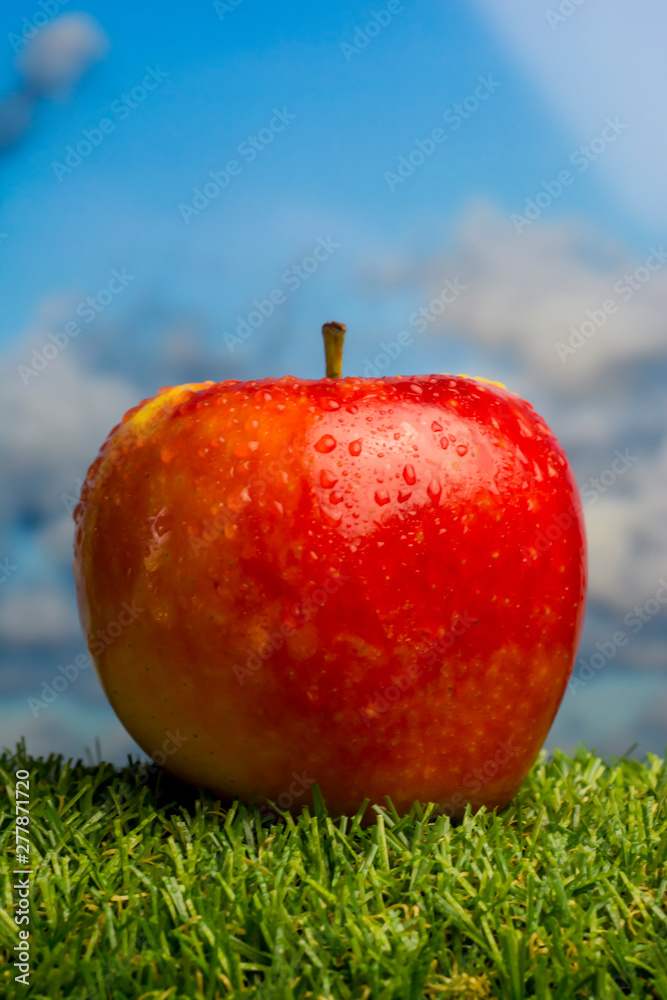 Apple on green grass and with blue sky background Apple on green grass and with blue sky background