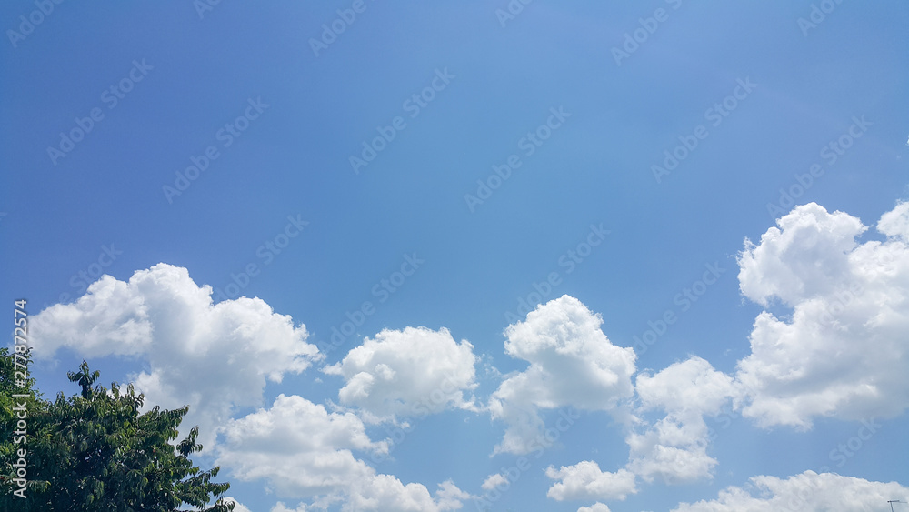 beautiful background of clouds and trees, clearly visible lines of white clouds and blue sky, above the sunbeam beautiful background of clouds and trees, clearly visible lines of white clouds and blue sky, above the sunbeam
