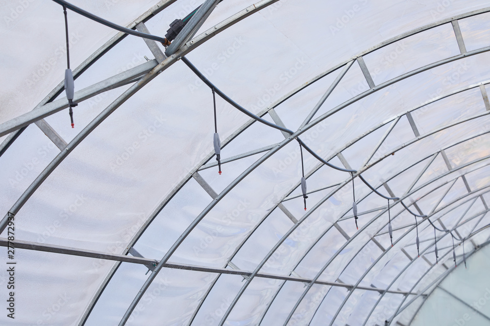 Snail Greenhouse, Lawn water sprinklers for spraying water over plants in garden. Helix Aspersa Muller, Maxima Snail, Organic Farming, Snail Farming, Edible snails. Production of Snails. Snail Farm. Snail Greenhouse, Lawn water sprinklers for spraying water over plants in garden. Helix Aspersa Muller, Maxima Snail, Organic Farming, Snail Farming, Edible snails. Production of Snails. Snail Farm.