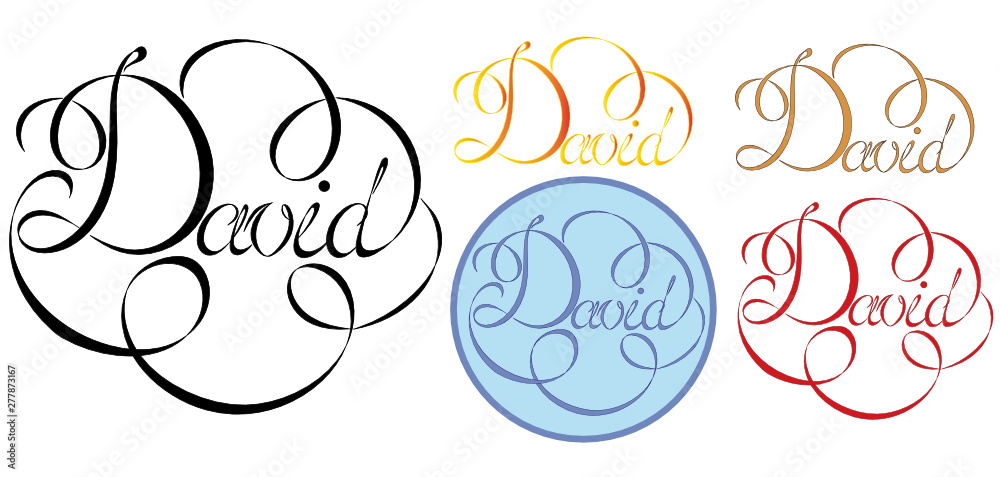 Name David, made in the vector for use in various purposes, from embroidery to printing business cards.