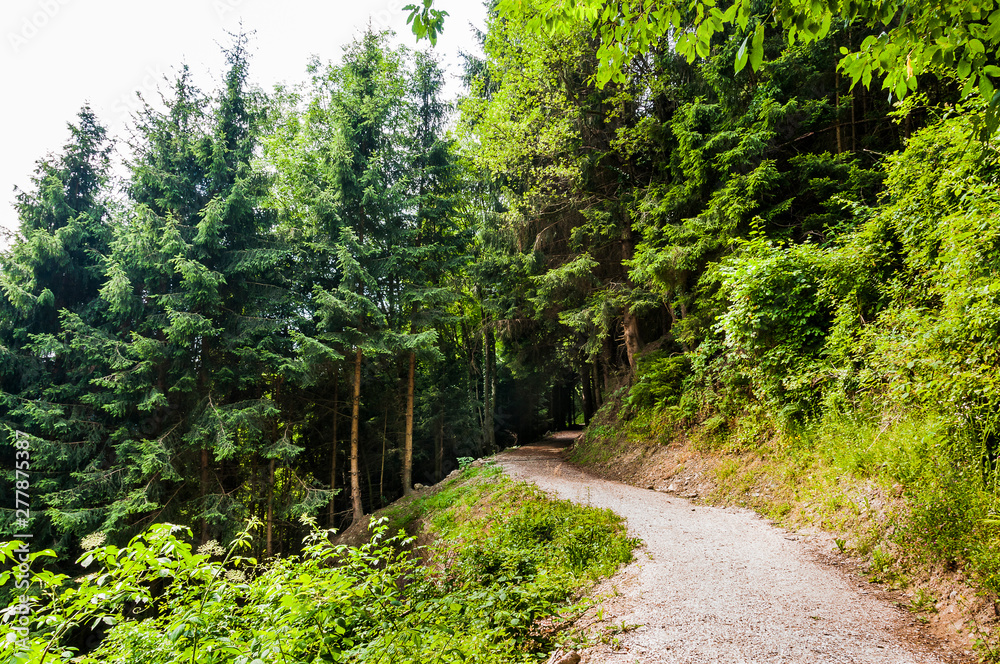 Dorf Tirol, Tirolerweg, Tiroler Kreuz, Wald, Waldweg, Wanderweg, Wasserfall, Vinschgau, Südtirol, Sommer, Italien Dorf Tirol, Tirolerweg, Tiroler Kreuz, Wald, Waldweg, Wanderweg, Wasserfall, Vinschgau, Südtirol, Sommer, Italien