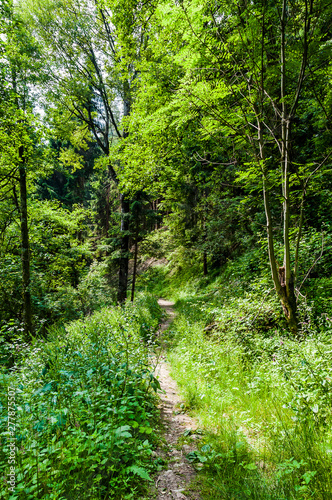 Obraz na płótnie Dorf Tirol, Tirolerweg, Tiroler Kreuz, Wald, Waldweg, Wanderweg, Wasserfall, Vin