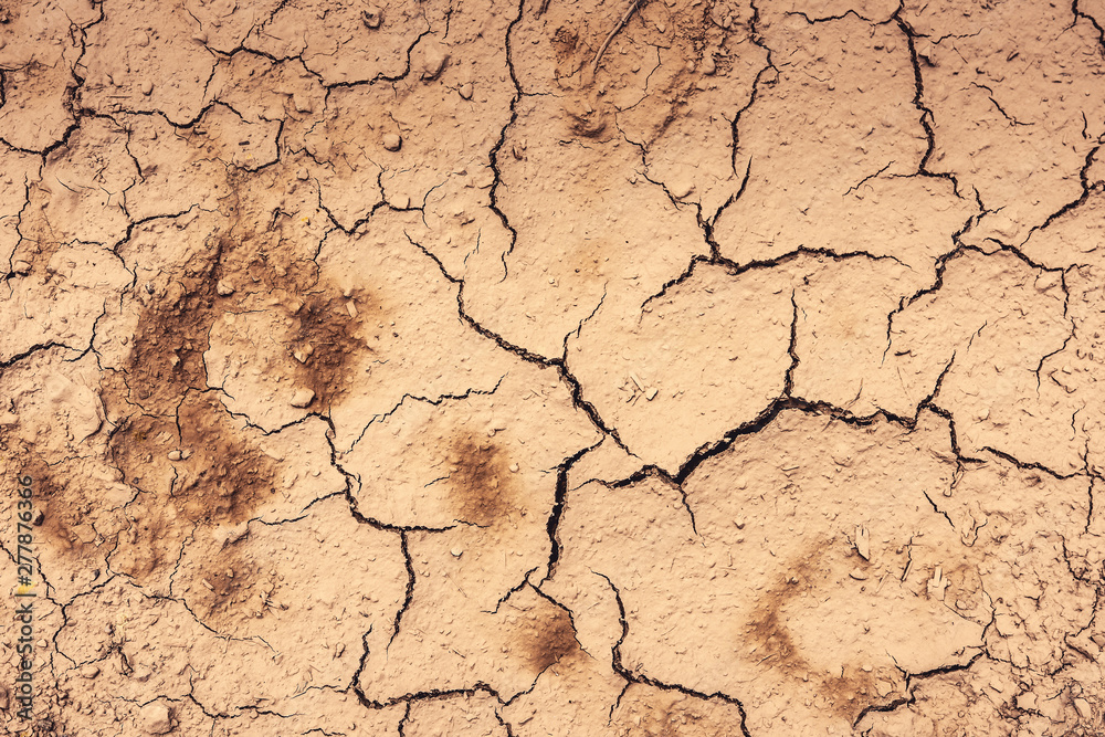 Cracked Dry Clay Ground Background and Texture Cracked Dry Clay Ground Background and Texture