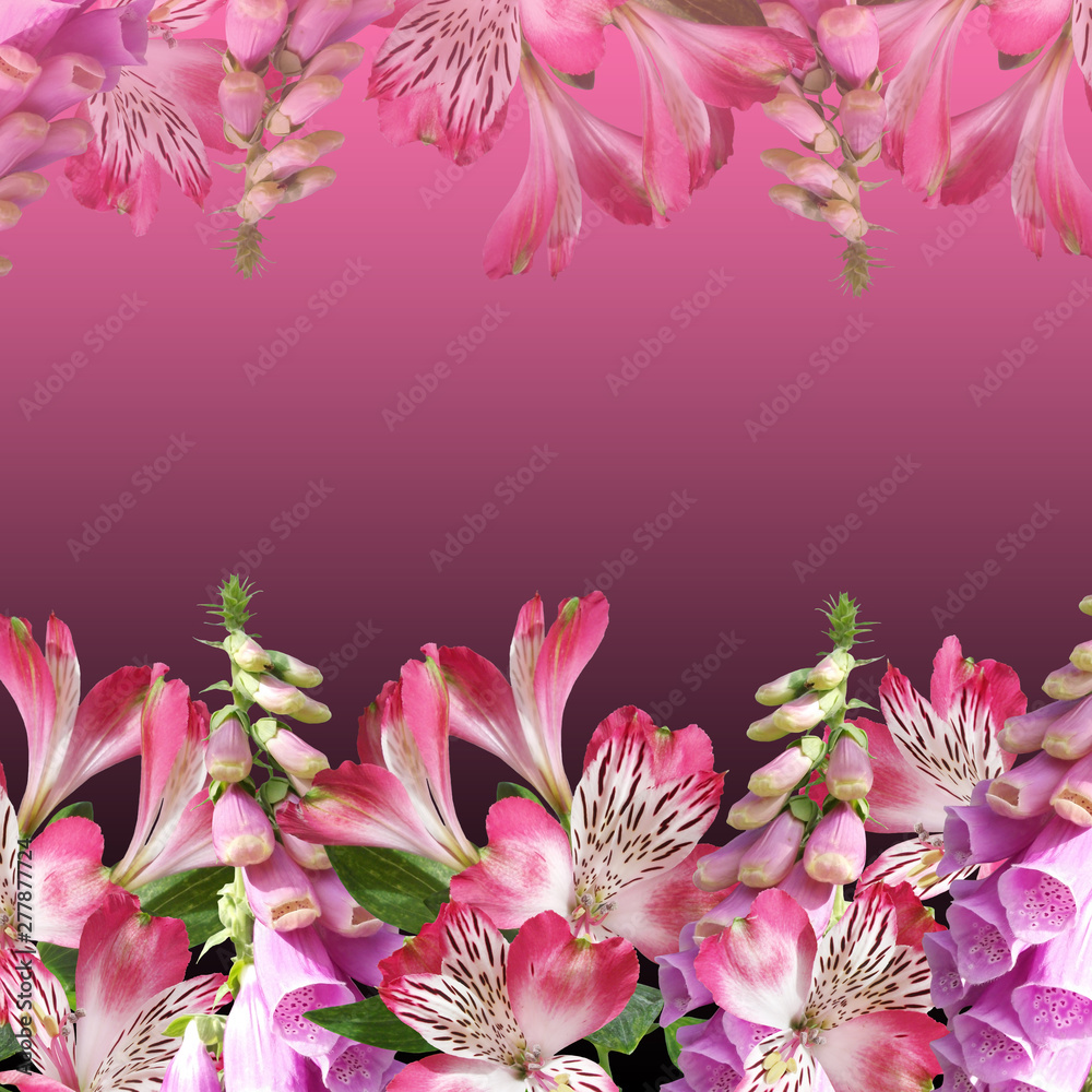 Beautiful floral background of digitalis and alstroemeria. Isolated