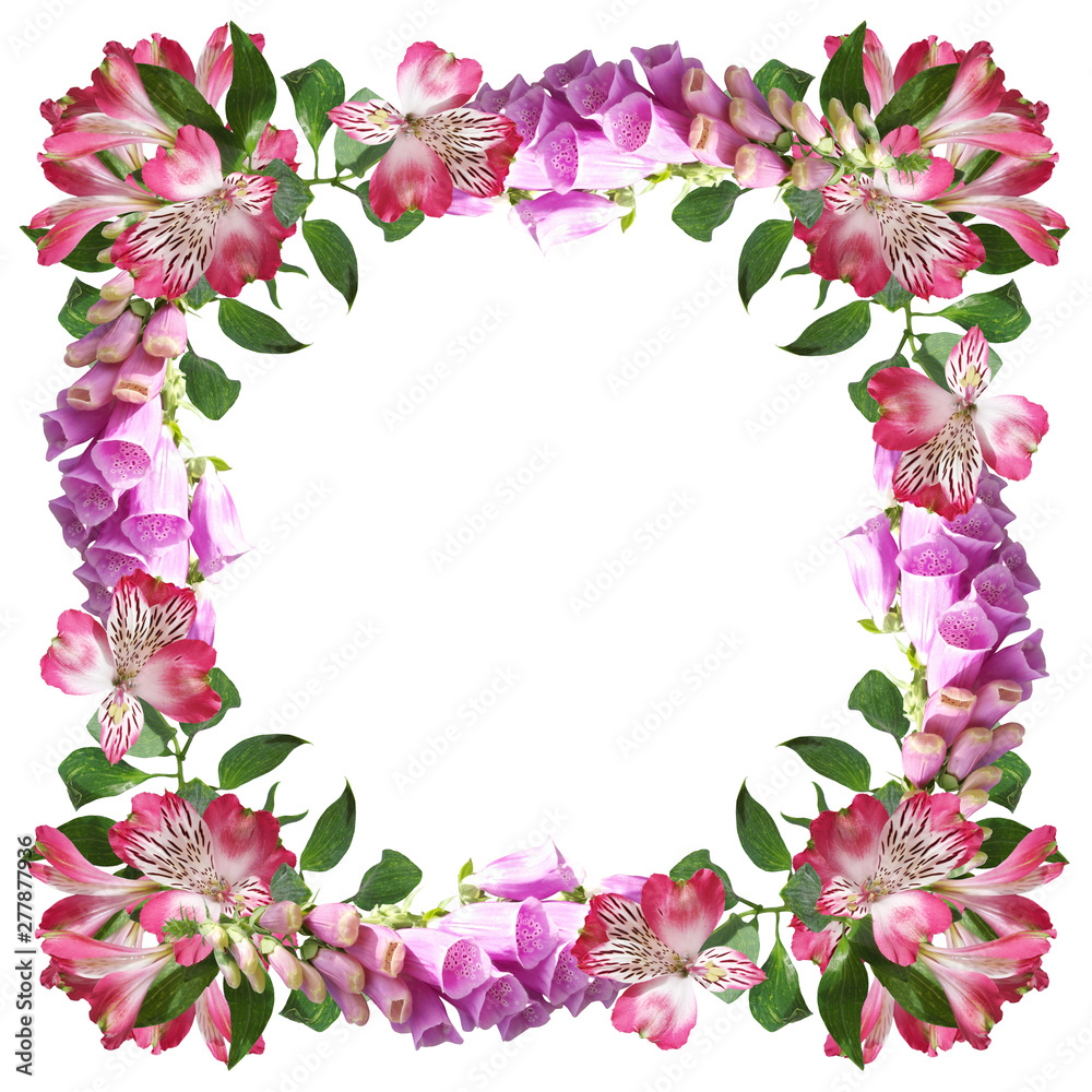 Beautiful floral background of digitalis and alstroemeria. Isolated Beautiful floral background of digitalis and alstroemeria. Isolated