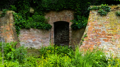 Fototapeta Naklejka Na Ścianę i Meble -  Landscape image of an old abandoned brick structure reclaimed by nature. With ivy (hedera) covering and natural wildflowers in the foreground. Space for copy. England.