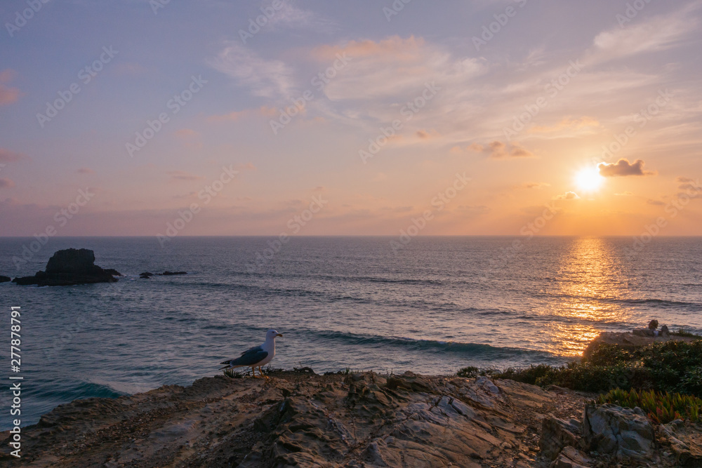 cartolina bella paesaggio marino tramonto e gabbiano