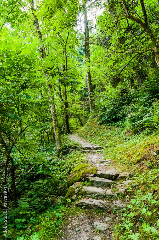 Dorf Tirol, Wald, Waldweg, Wanderweg, Tiroler Kreuz, Steintreppe, Vinschgau, Südtirol, Sommer, Italien Dorf Tirol, Wald, Waldweg, Wanderweg, Tiroler Kreuz, Steintreppe, Vinschgau, Südtirol, Sommer, Italien