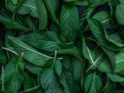 Fresh green organic leaves mint background.