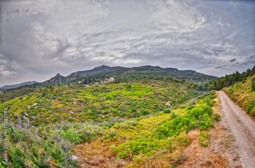 low vegetation Mediterranea Greece Athens mountain