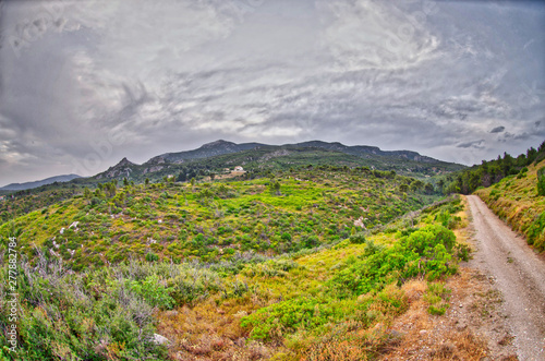 low vegetation Mediterranea Greece Athens mountain