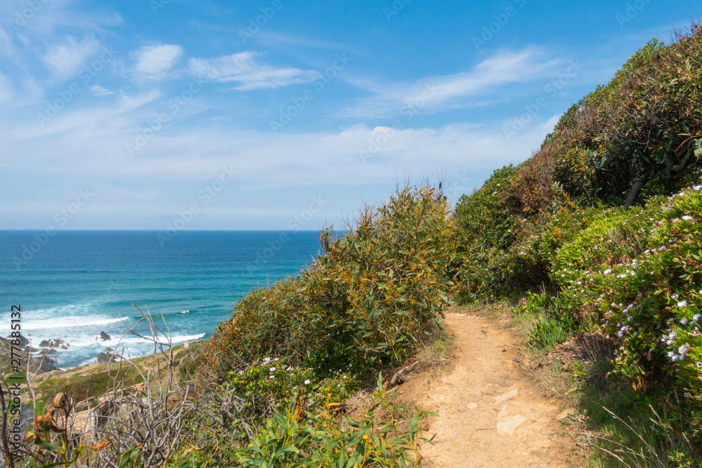 Fototapeta premium rota vicentina oceano atlantico