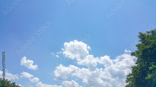 beautiful background of clouds and trees, clearly visible lines of white clouds and blue sky, above the sunbeam © Karen