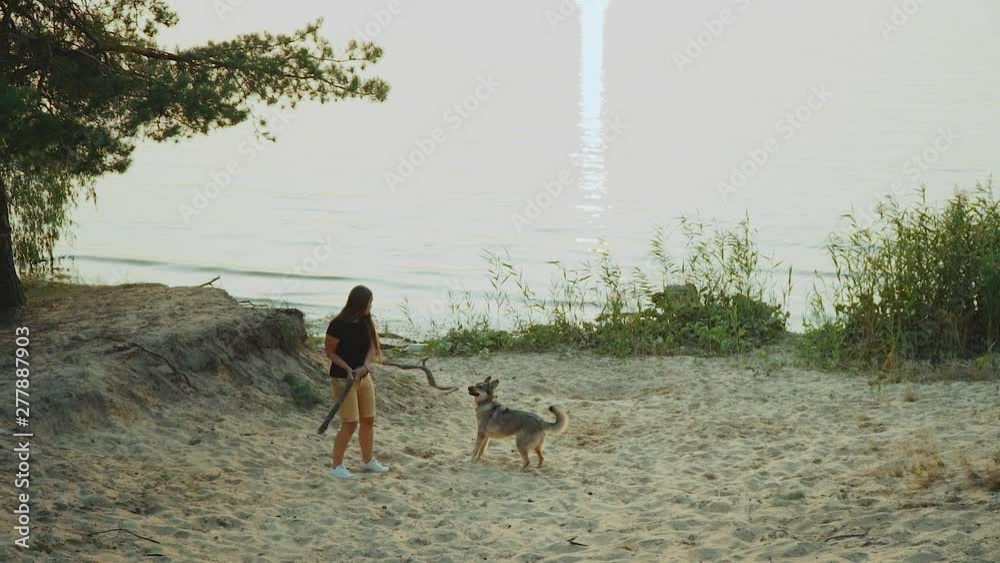 happy young woman play with her mixbreed dog in the pine forest near large river,slow motion. happy young woman play with her mixbreed dog in the pine forest near large river,slow motion.