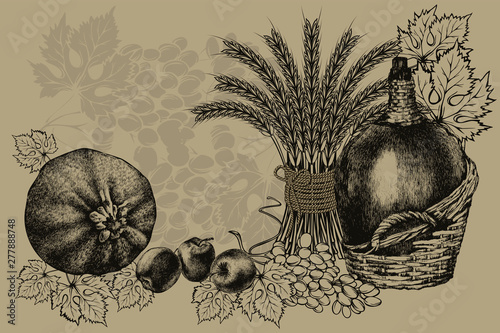 Wallpaper Mural Bio food. Harvest, fresh farm vegetables, fruits and ears of wheat. Wine and grapes. Vector illustration. Torontodigital.ca