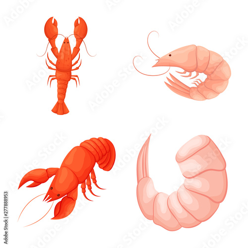 Isolated object of shrimp and crab logo. Collection of shrimp and sea stock symbol for web.