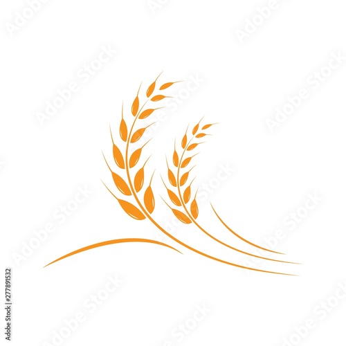 Agriculture wheat Logo Template vector icon design 