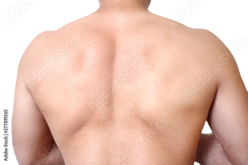 male muscular back closeup on white background
