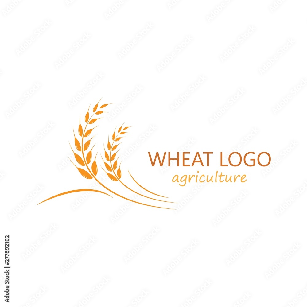 Agriculture wheat Logo Template vector icon design Agriculture wheat Logo Template vector icon design