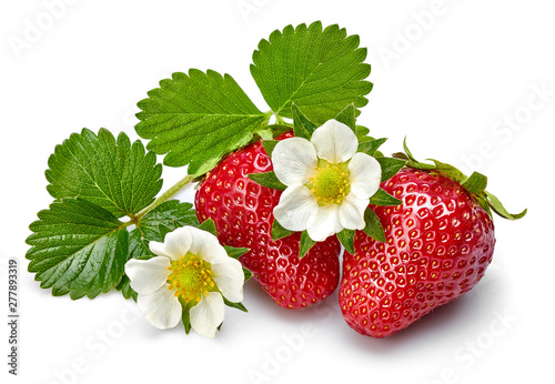 Wallpaper Mural Strawberries with green leaf and flowers, isolated on white background. Torontodigital.ca